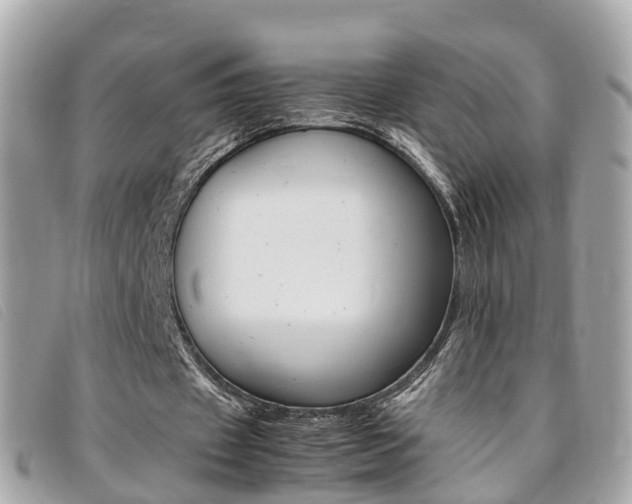 X0000095910433200801110831