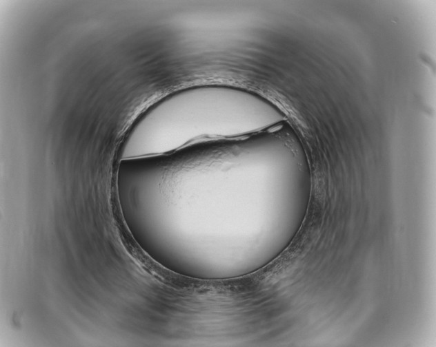 X0000095910434200801110831