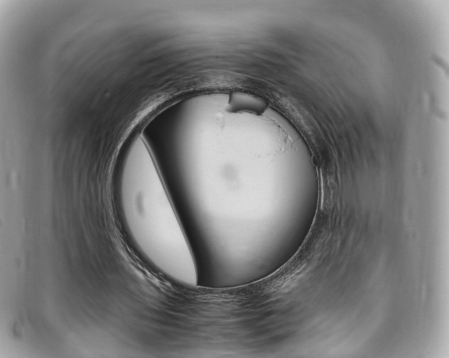 X0000095910435200801110831
