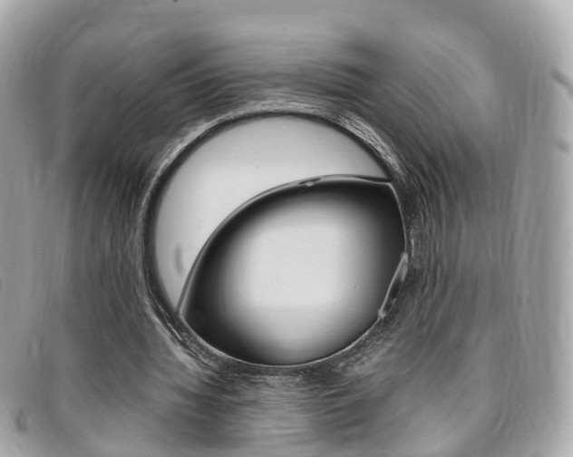 X0000095910436200801110831