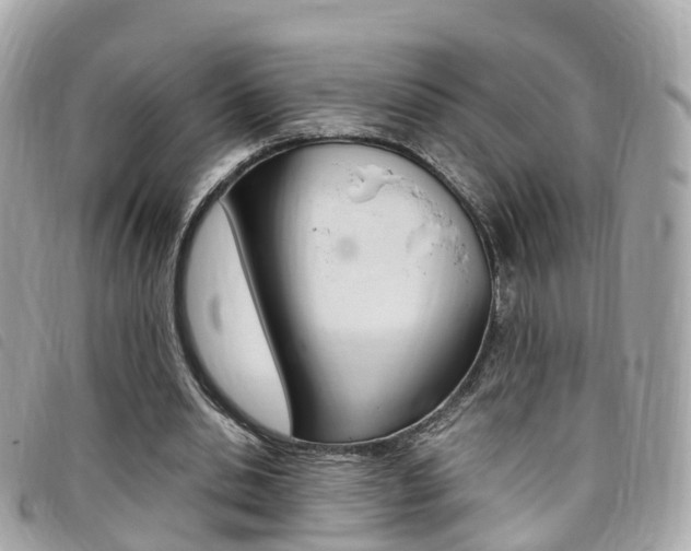 X0000095910438200801110831
