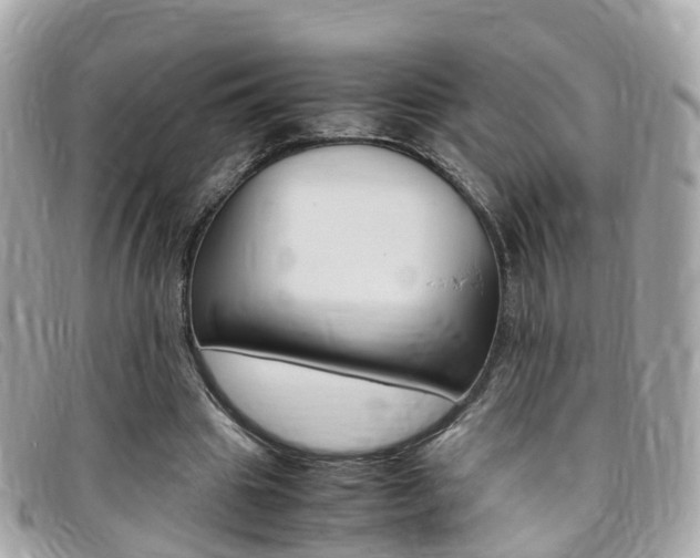 X0000095910441200801110831