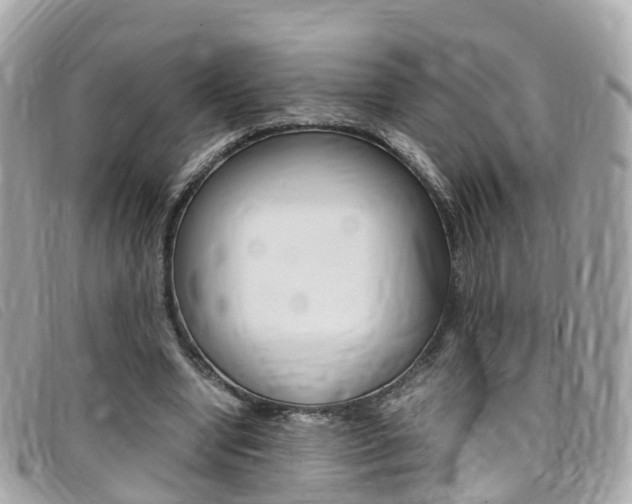X0000095910442200801110831