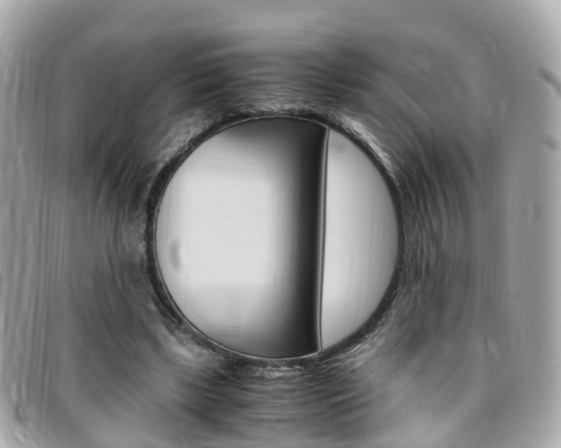 X0000095910443200801110831