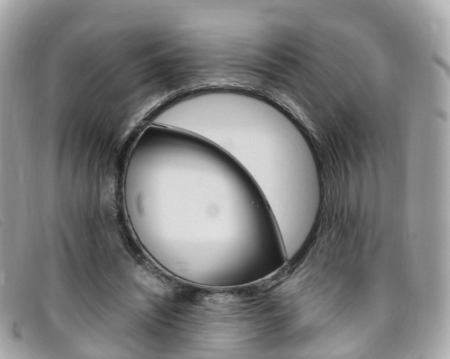 X0000095910444200801110831