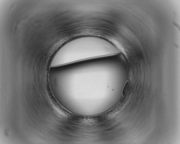 X0000095910445200801110831