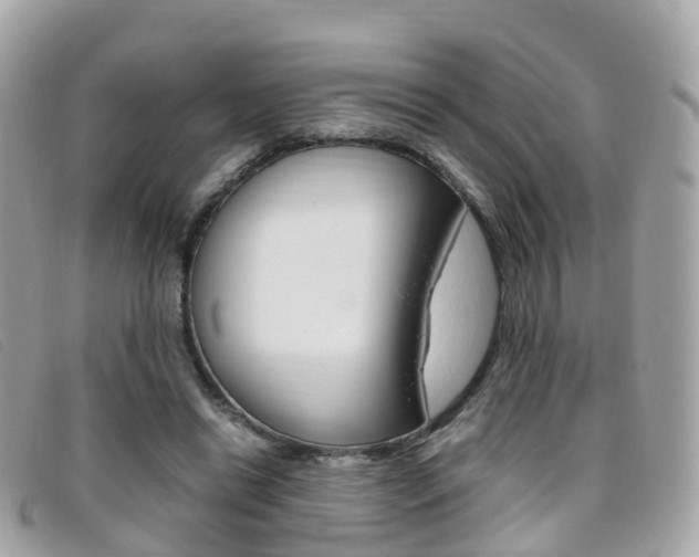 X0000095910446200801110831