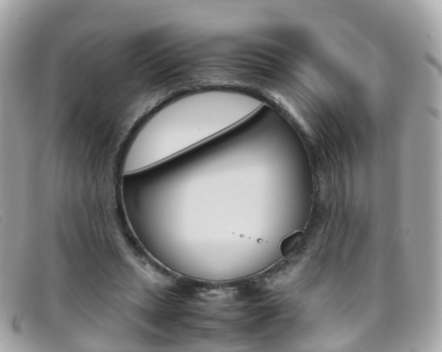 X0000095910447200801110831