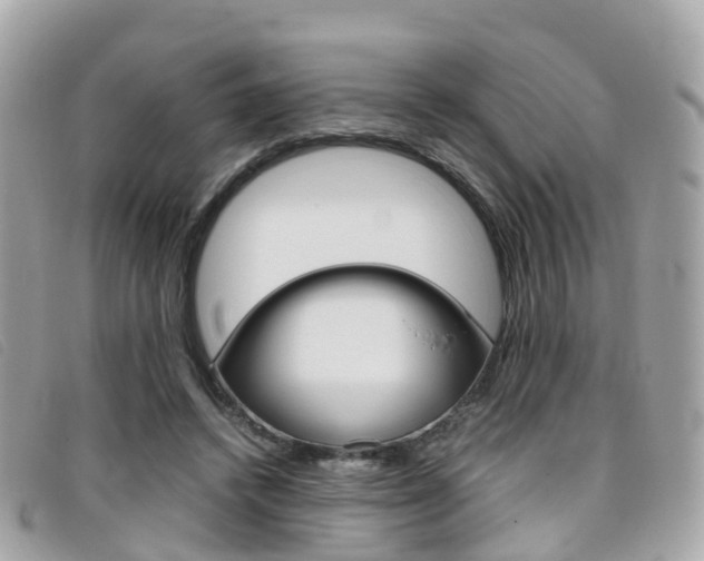X0000095910448200801110831