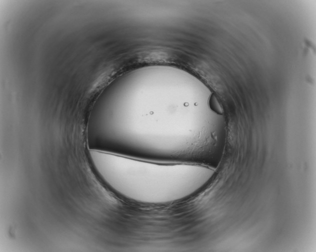 X0000095910449200801110831