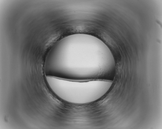 X0000095910450200801110831