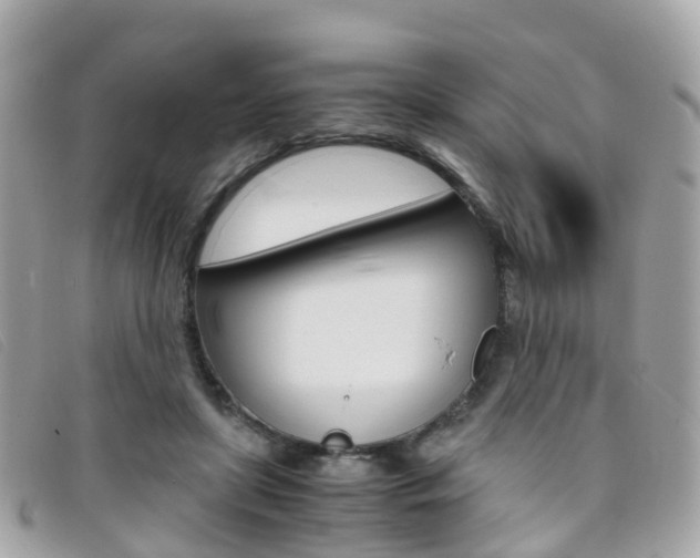 X0000095910451200801110831