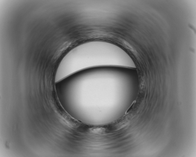 X0000095910452200801110831