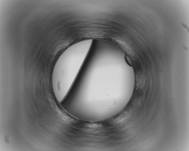 X0000095910453200801110831