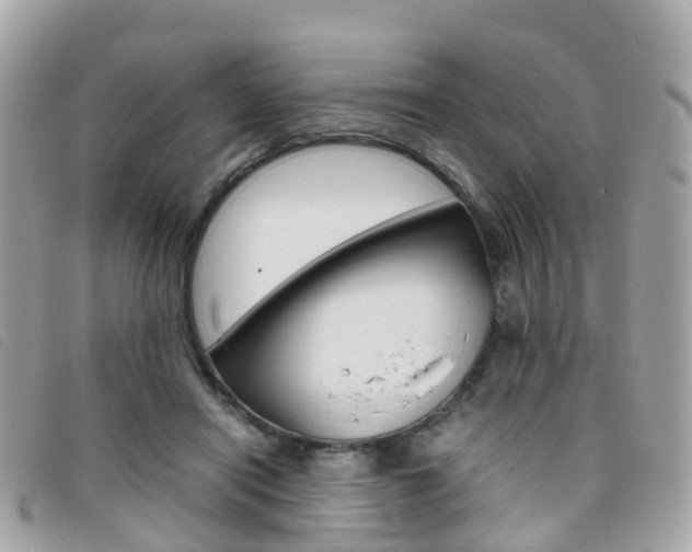 X0000095910454200801110831