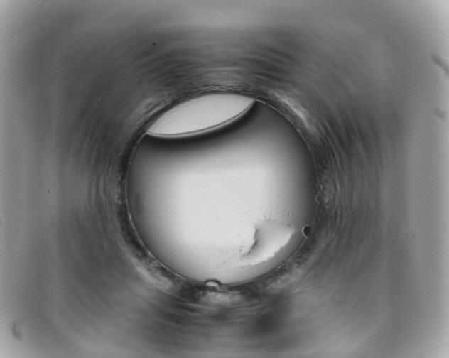 X0000095910455200801110831