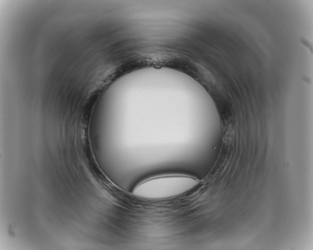 X0000095910456200801110831