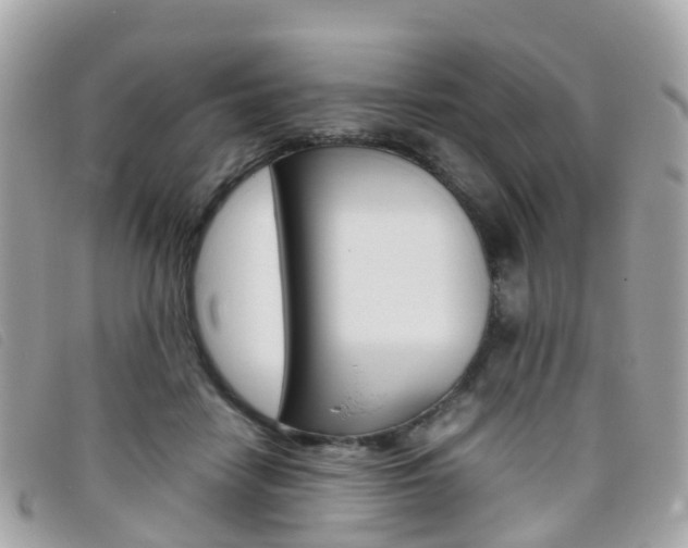 X0000095910458200801110831