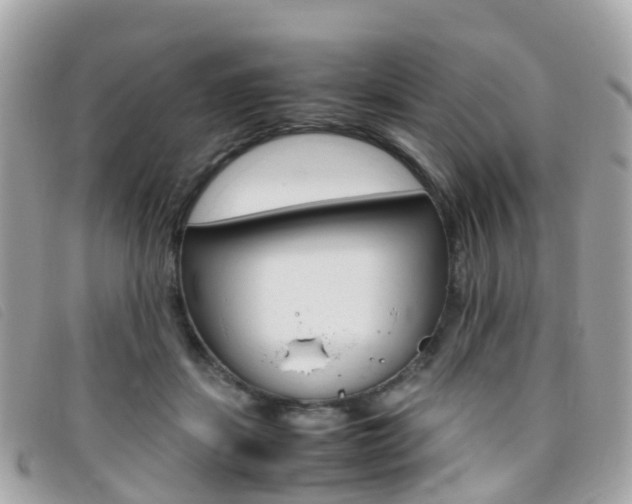 X0000095910459200801110831