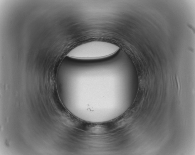 X0000095910460200801110831