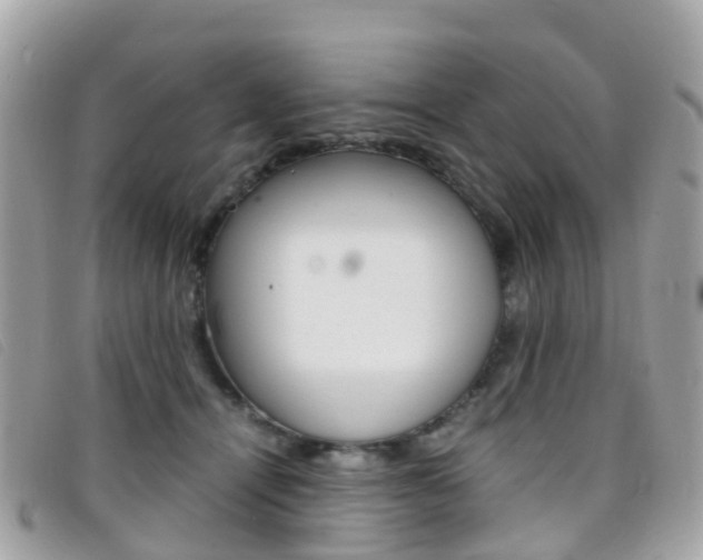 X0000095910464200801110831