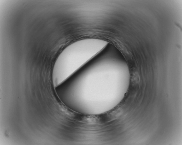 X0000095910466200801110831