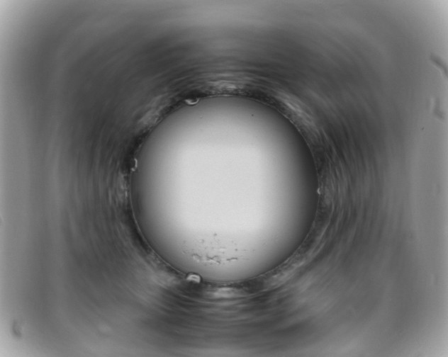 X0000095910467200801110831