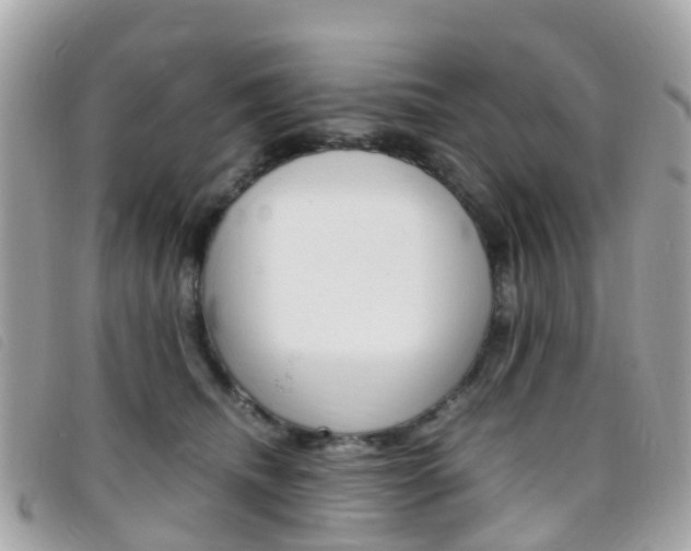 X0000095910468200801110831