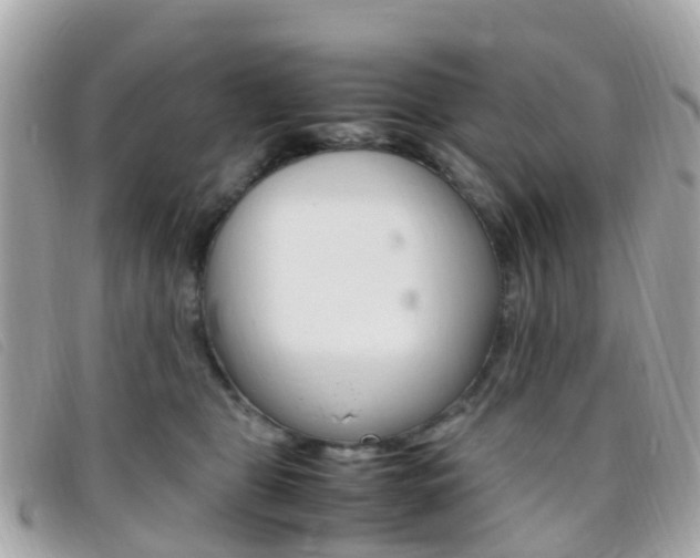 X0000095910469200801110831