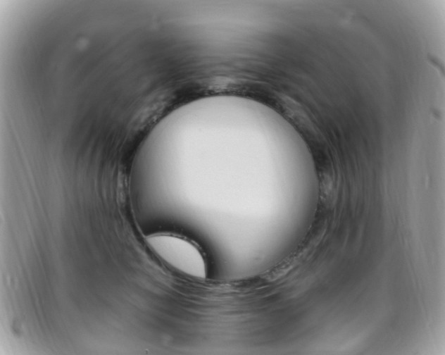 X0000095910470200801110831