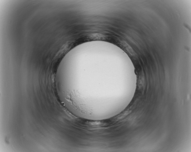 X0000095910473200801110831