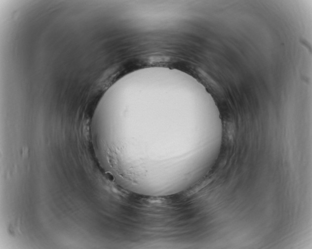X0000095910475200801110832