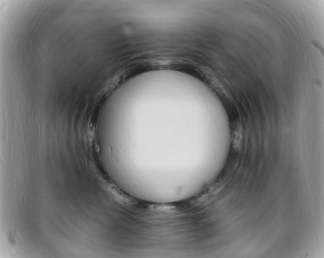 X0000095910476200801110832