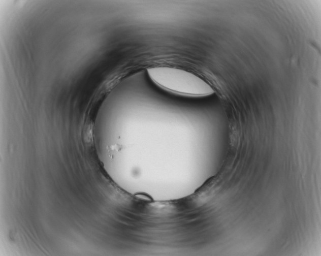 X0000095910477200801110832
