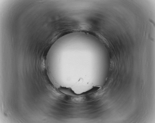 X0000095910479200801110832