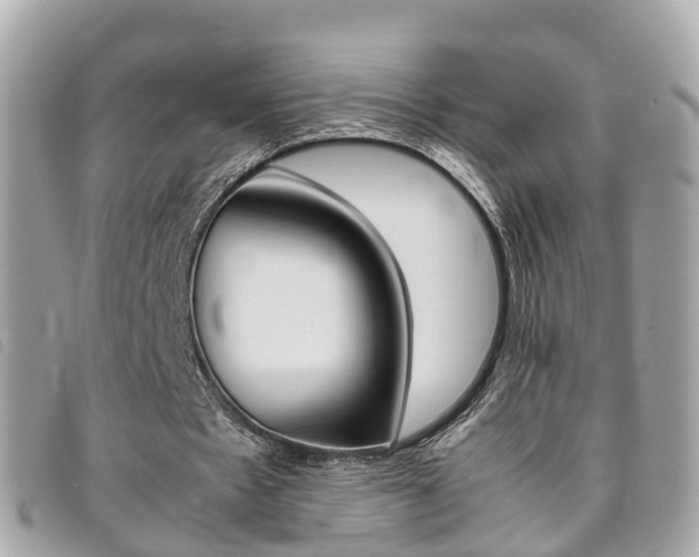 X0000095910481200801110831