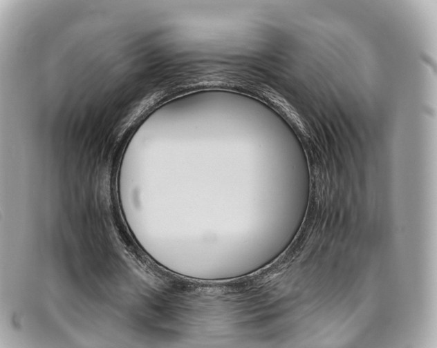 X0000095910482200801110831