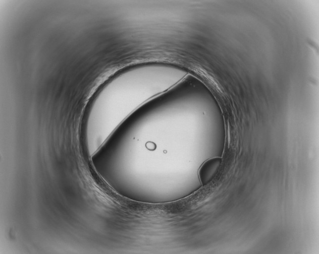 X0000095910483200801110831