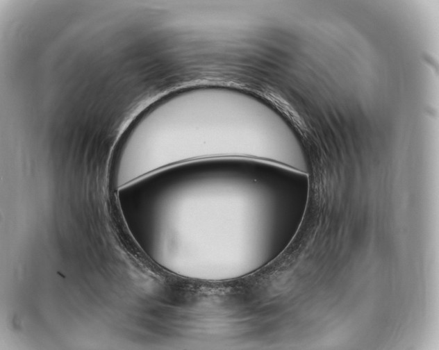 X0000095910484200801110831