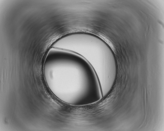 X0000095910485200801110831