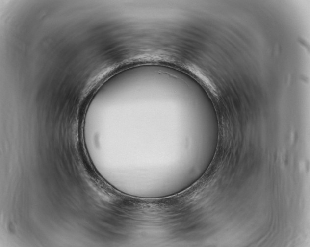 X0000095910486200801110831
