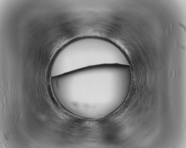 X0000095910487200801110831