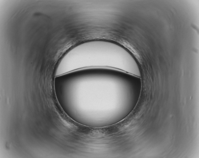 X0000095910489200801110831