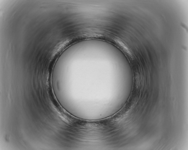 X0000095910490200801110831