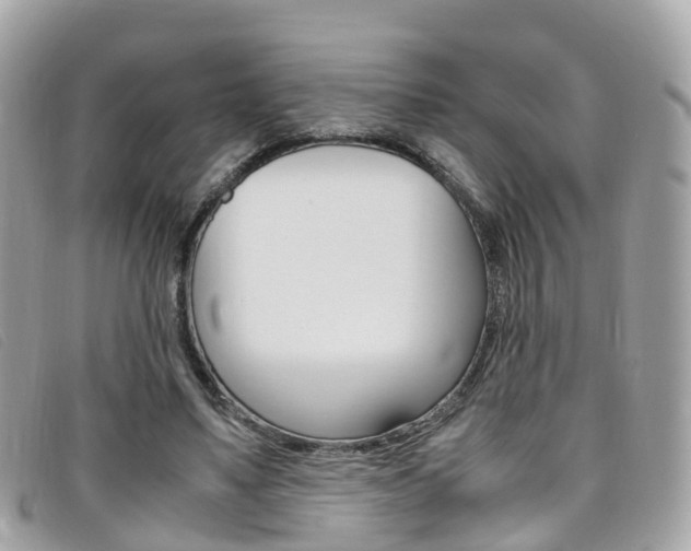 X0000095910491200801110831