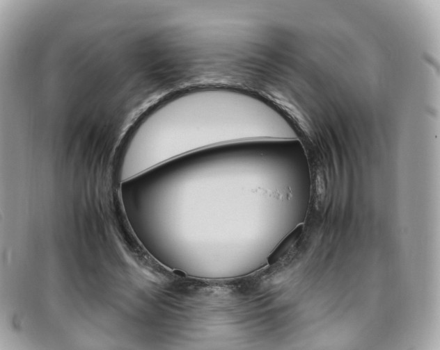 X0000095910492200801110831