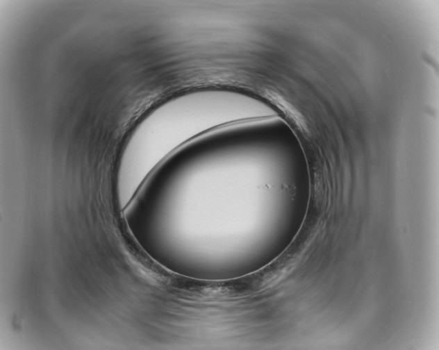 X0000095910493200801110831