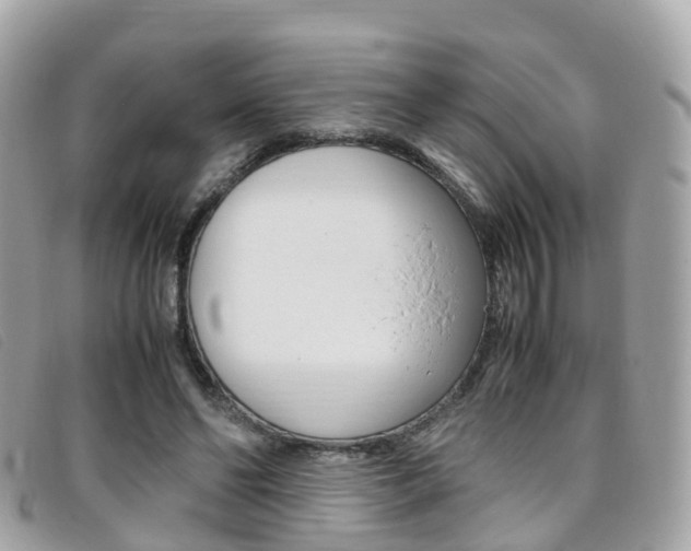 X0000095910494200801110831