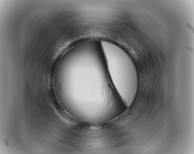 X0000095910496200801110831
