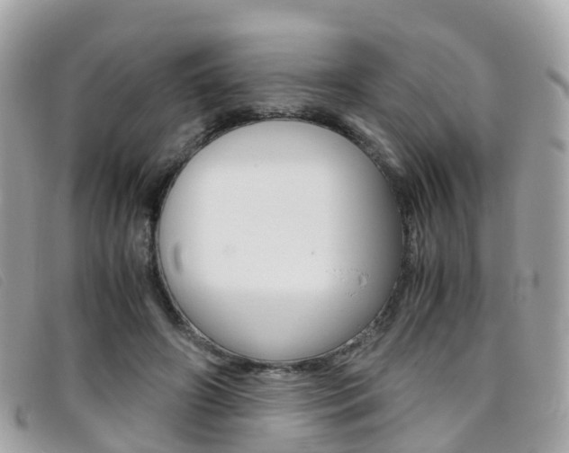 X0000095910498200801110831